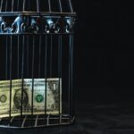 black steel pet cage with one dollar